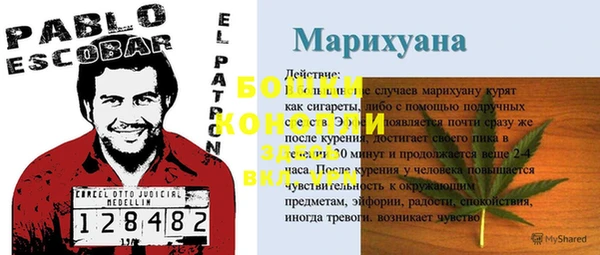 СК Краснослободск